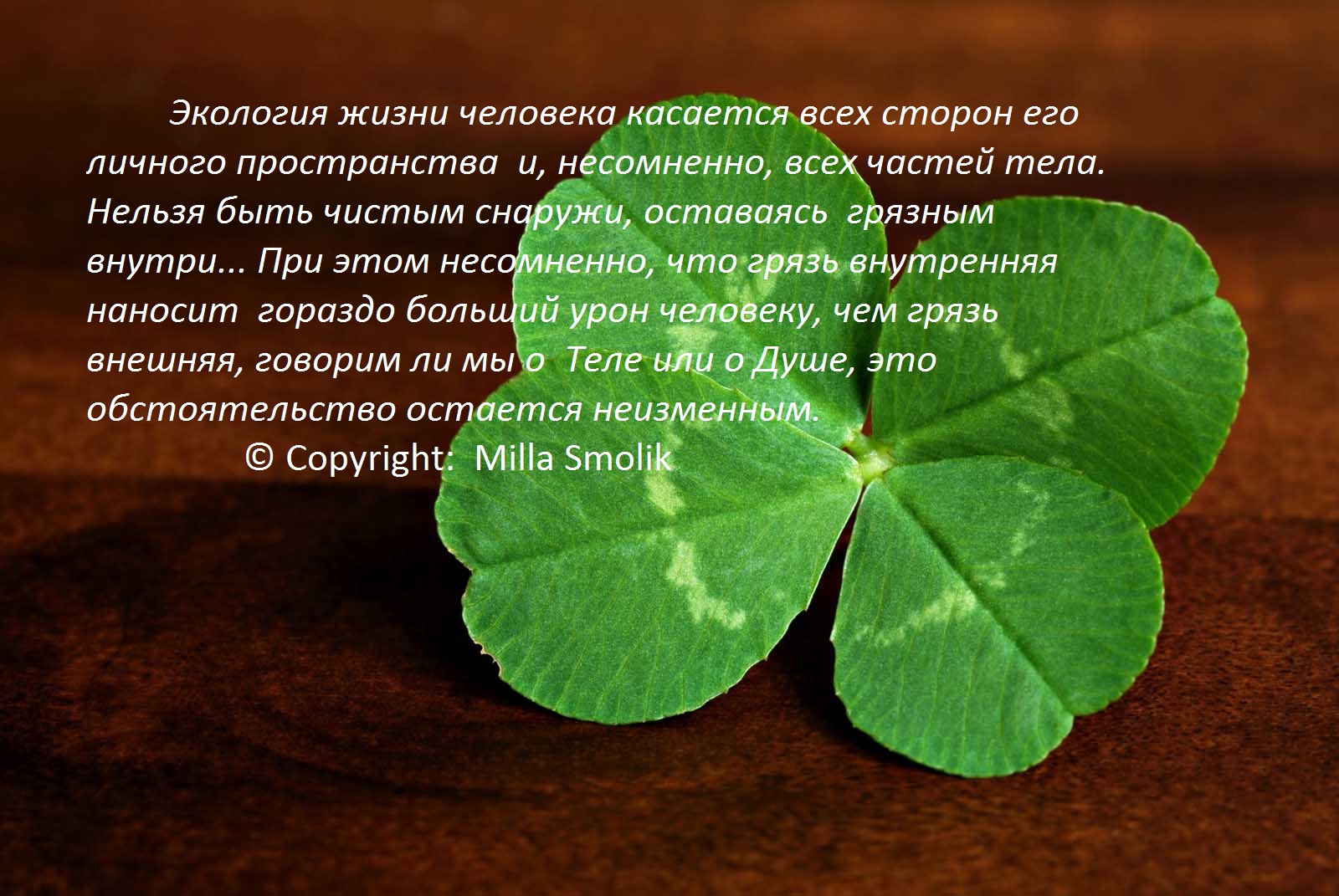 КАК прожить без аптеки и лекарств 