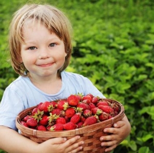 ДОМАШНИЕ продукты
